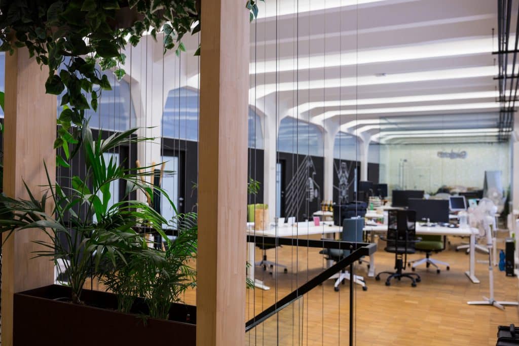 Meeting Room Space Per Person : view of empty office with pot plant